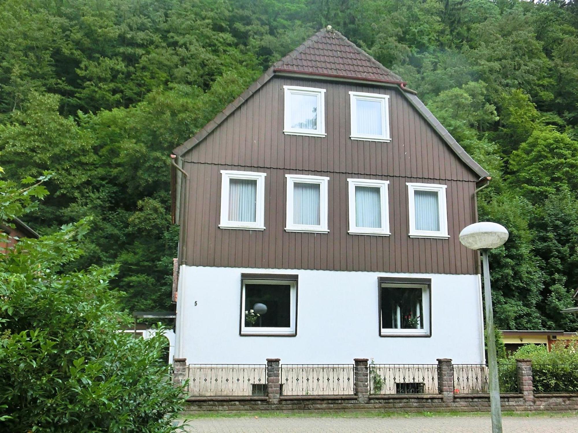 Spacious Group House In The Harz Region Zorge Exterior photo